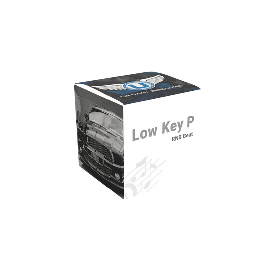 Low Key P (RNB Beat)